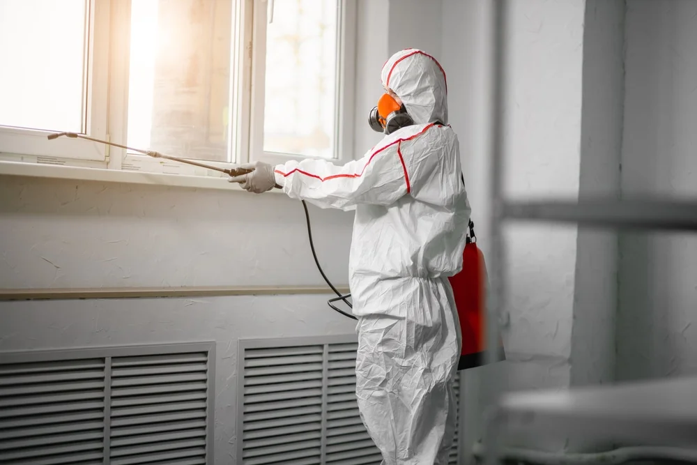 Professional mold remediation services in Spring Lake, NJ